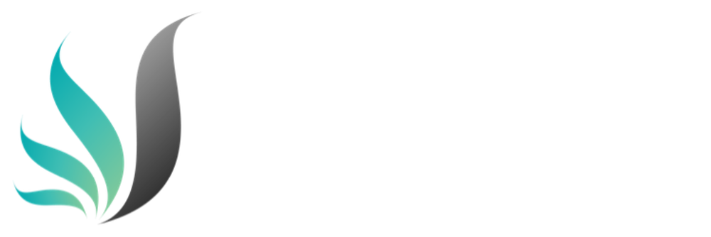 Logo_WebSolutionsToGo_weiss_Transparent_klein